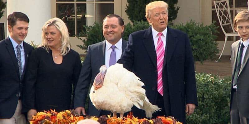 donald trump pardon turkey thanksgiving