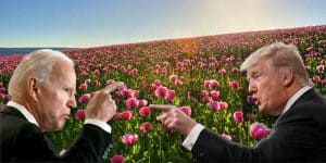 biden-trump-spring-2020-odds