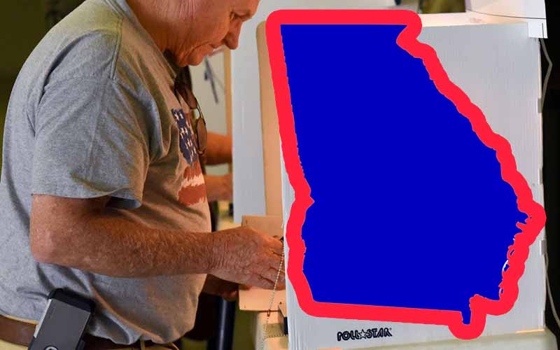 Georgia Voter