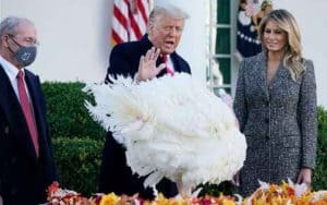 Donald Trump pardon