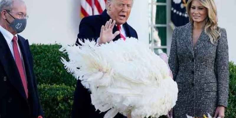 Donald Trump pardon