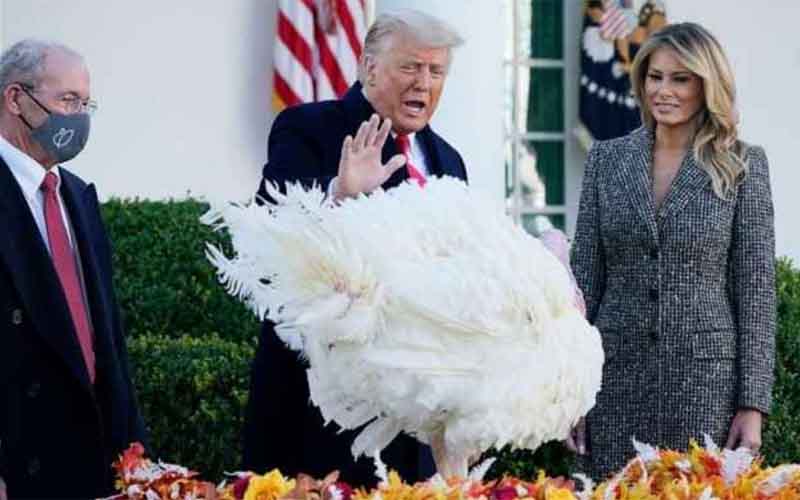 Donald Trump pardon
