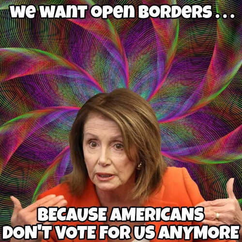 Nancy Pelosi meme about open borders and voting