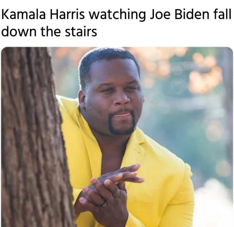 Biden Harris meme