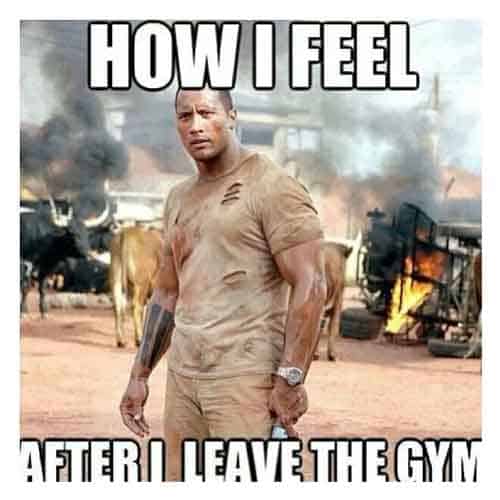 the Rock gym meme